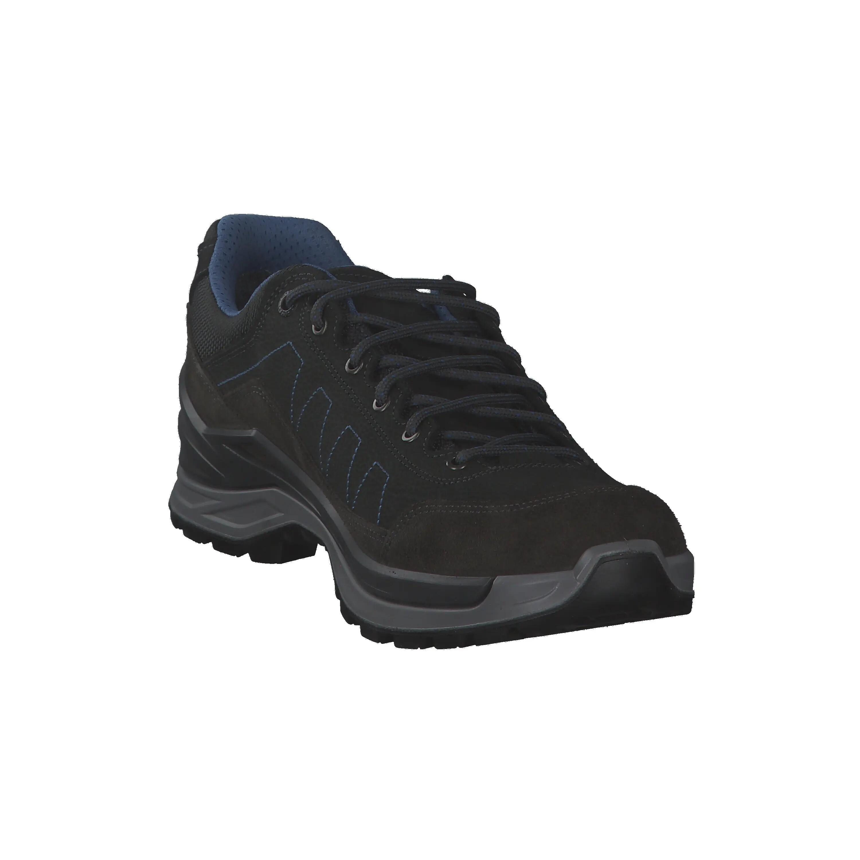 Lowa Herren Wanderschuhe Toro Pro GTX Lo 310931 2/15