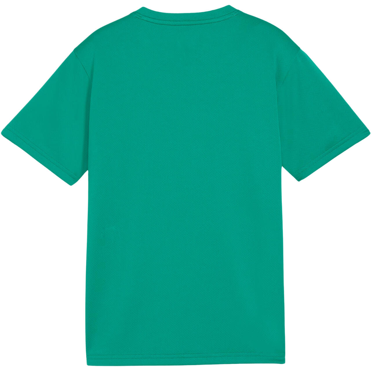 Camisola infantil Puma TeamGoal Jersey 2/3