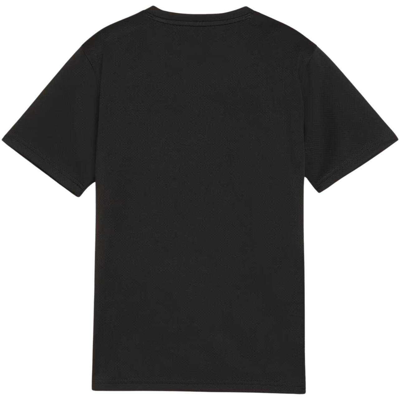 Puma Kinder T-Shirt teamGOAL Jersey Jr 658637 2/3