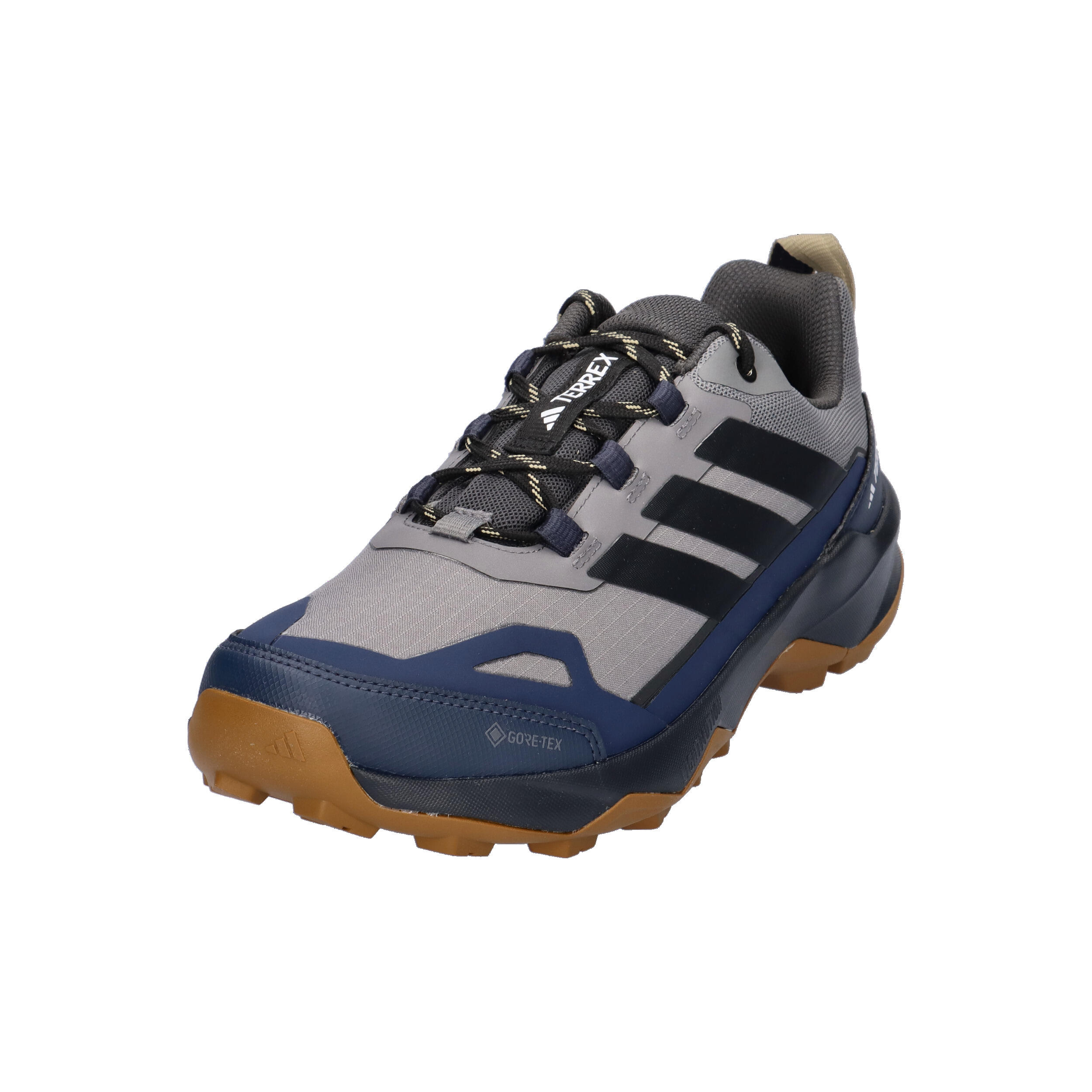 Sapatos de Caminhada AX5 GORE-TEX Skychaser TERREX 9/10