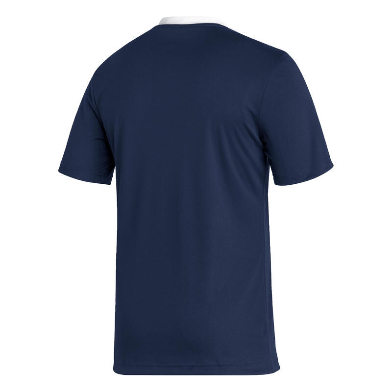 Tricou Fitness ADIDAS Entrada Roz Bărbați