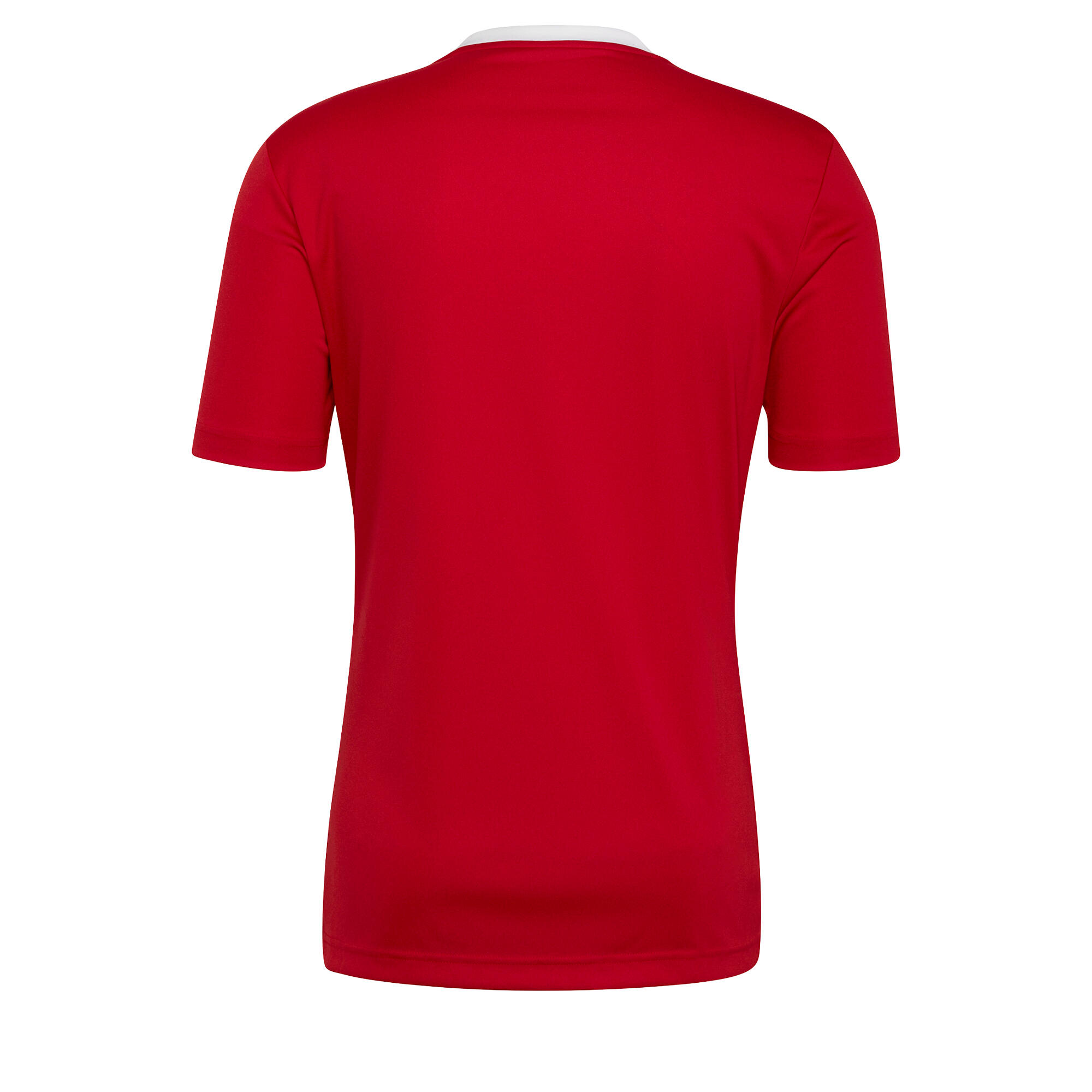 Entrada 22 Jersey 7/7