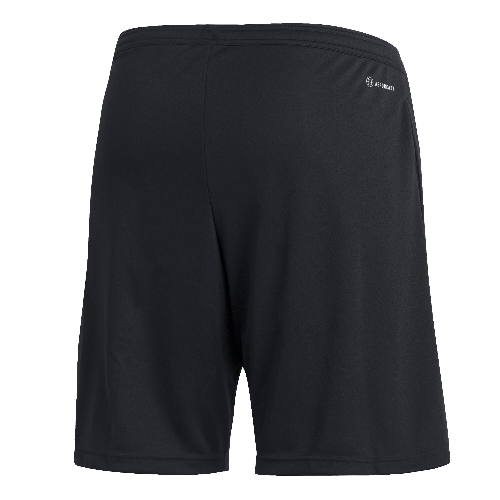 Entrada 22 Trainingsshort 6/6