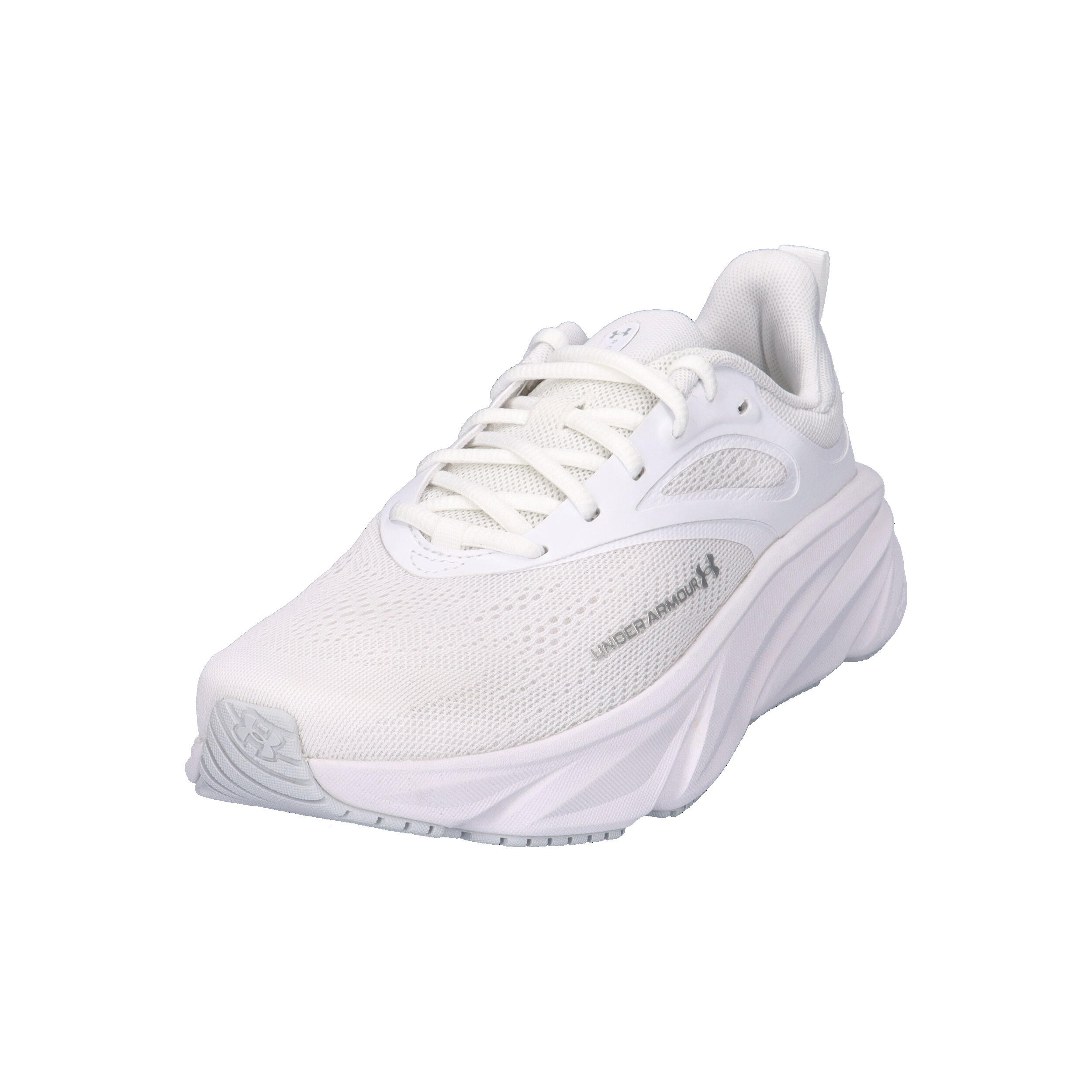Under Armour Damen Laufschuhe Charged+ Rogue 6 6006720 4/15