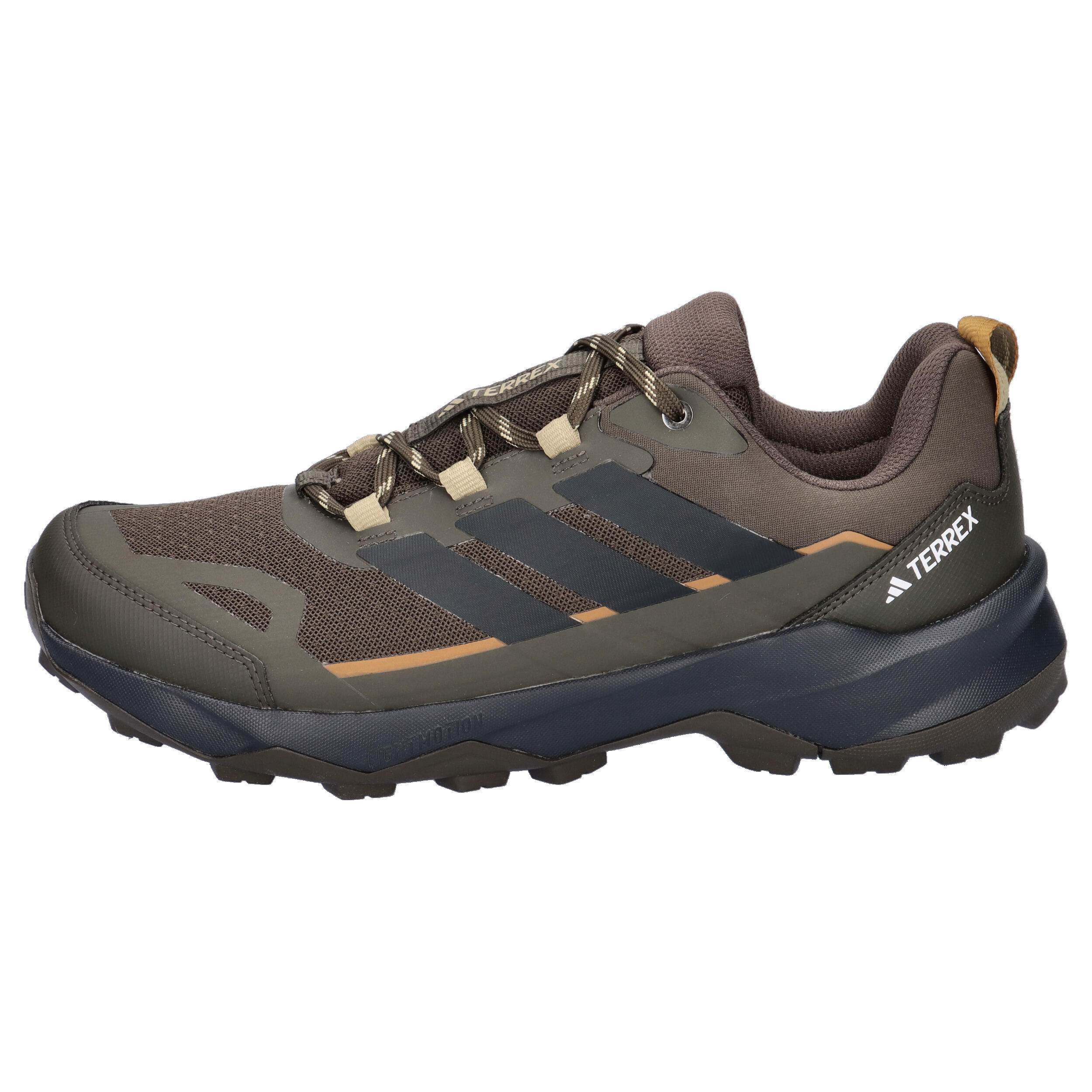 Chaussure de randonnée Terrex Skychaser Ax5 10/11