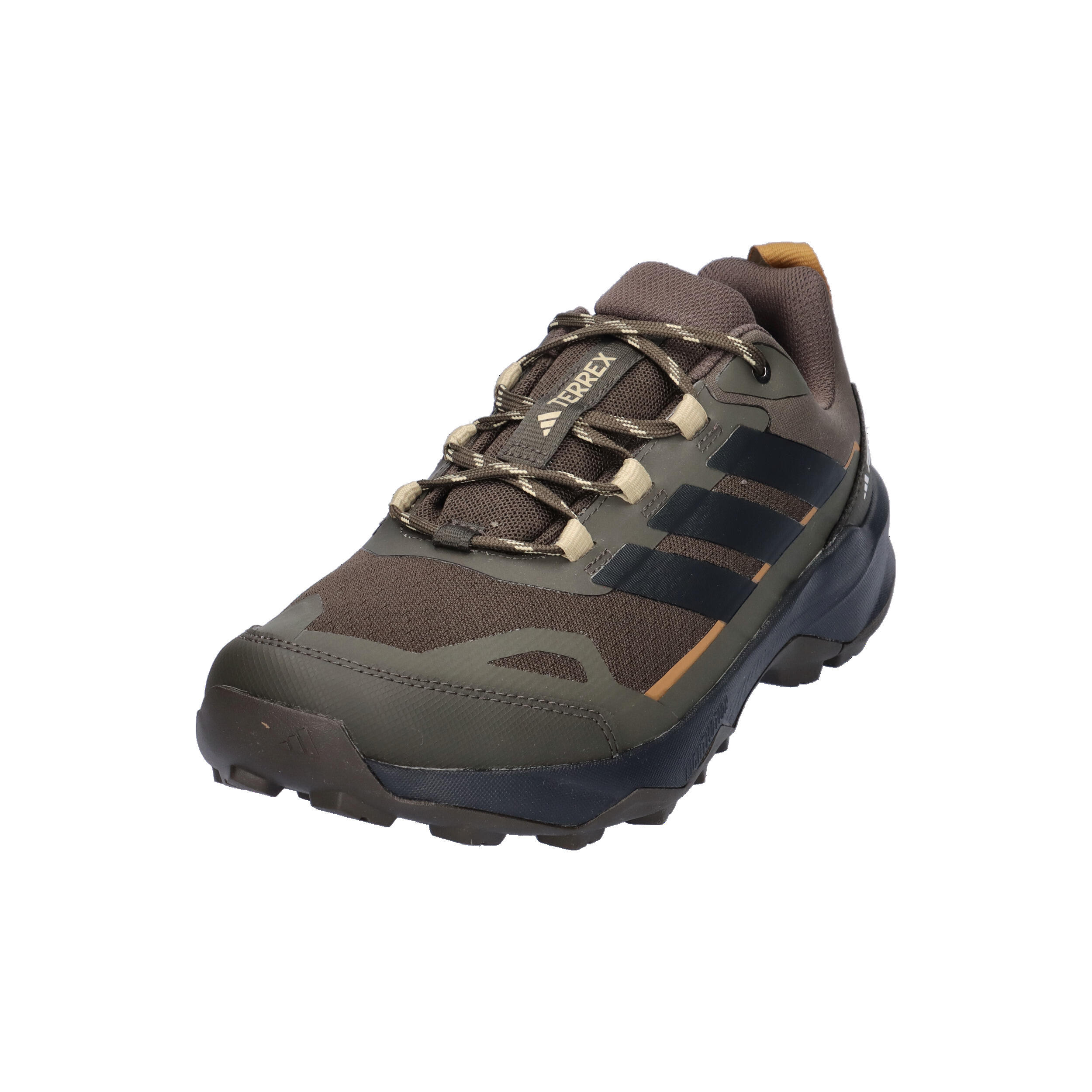 Chaussure de randonnée Terrex Skychaser Ax5 9/11