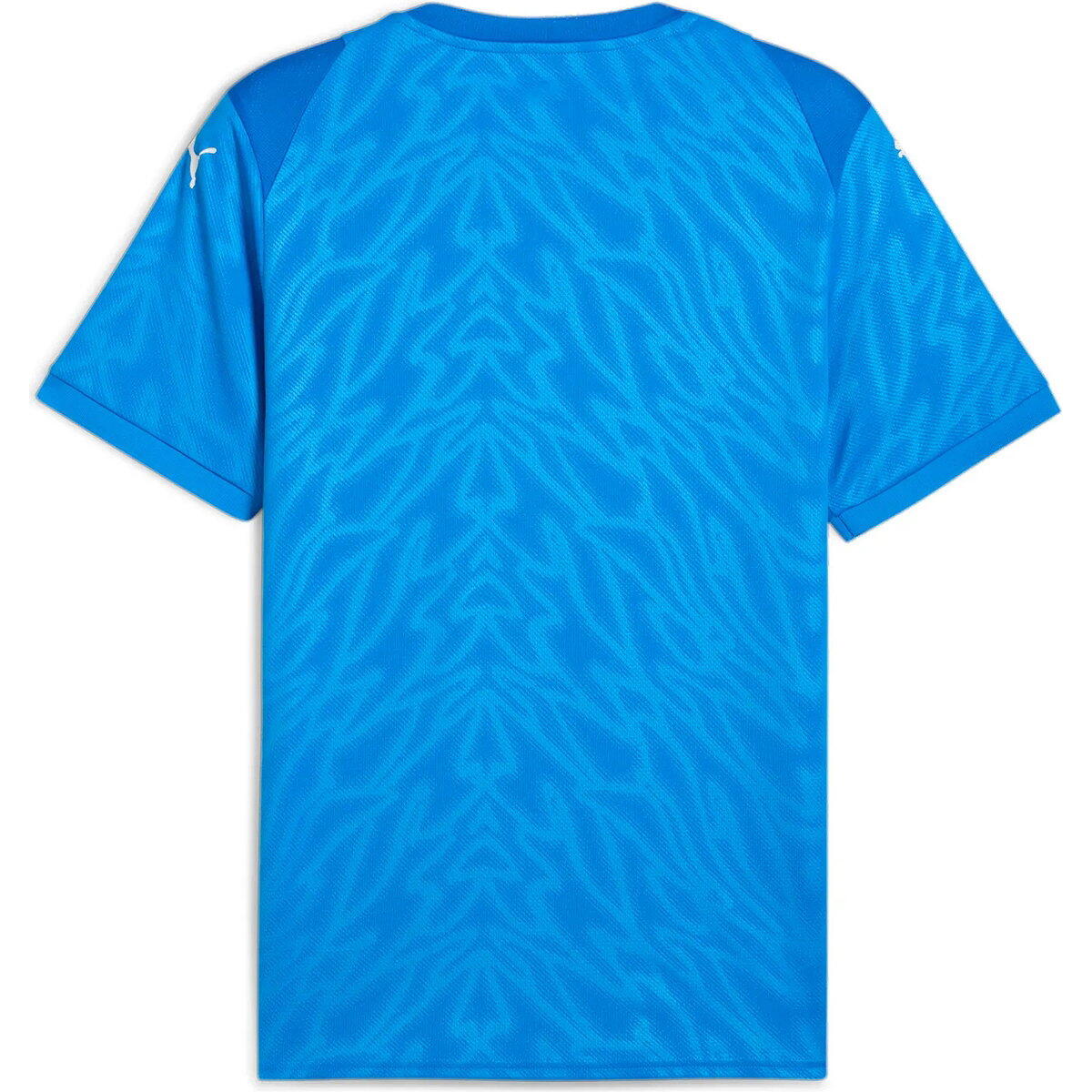 Puma Teamcup Maillot Manches Courtes Homme - Royal 2/3