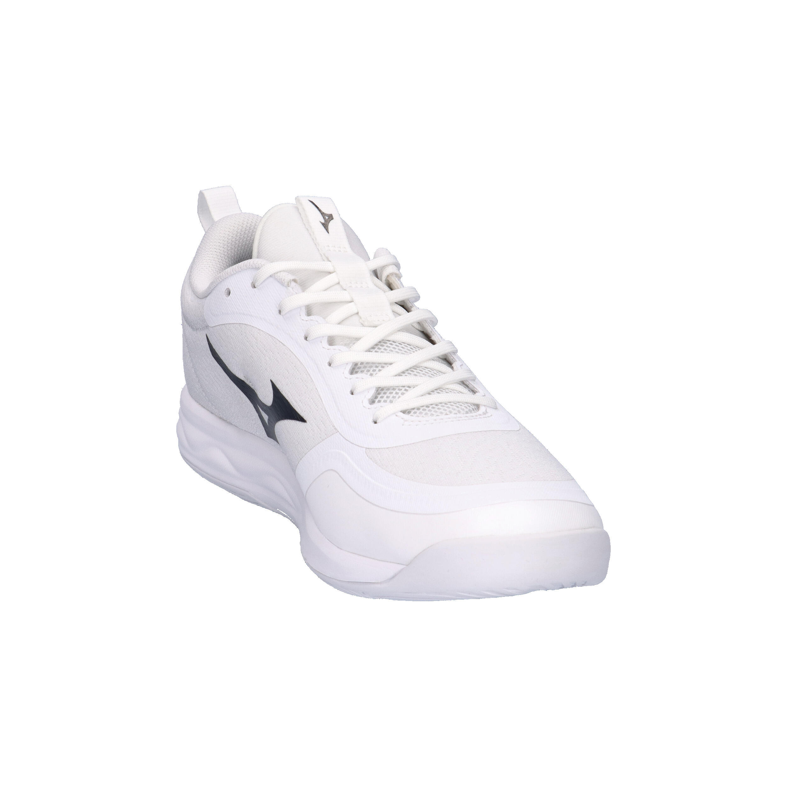 Indoor schoenen Mizuno Wave Luminous Pro 2/15