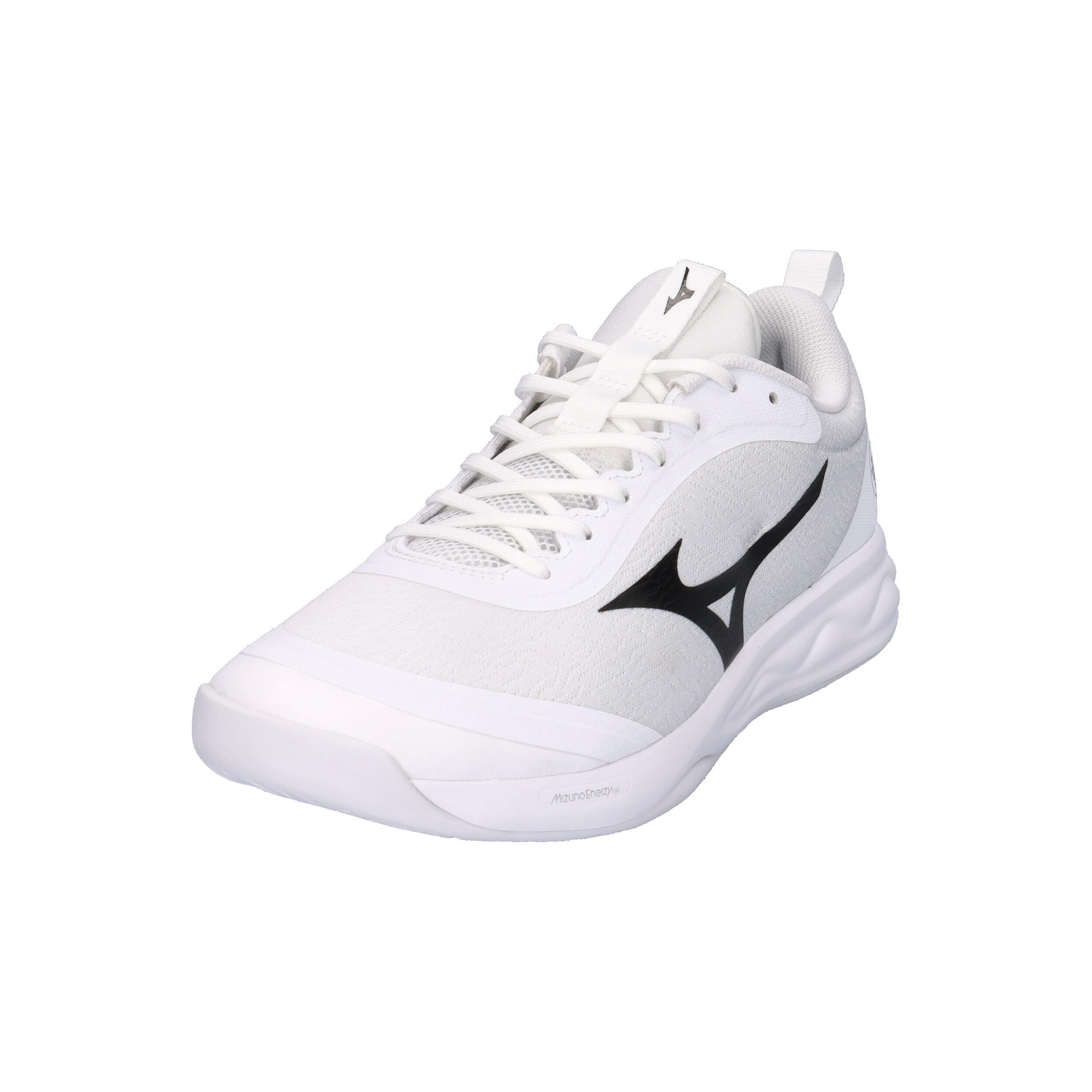 Indoor schoenen Mizuno Wave Luminous Pro 4/15