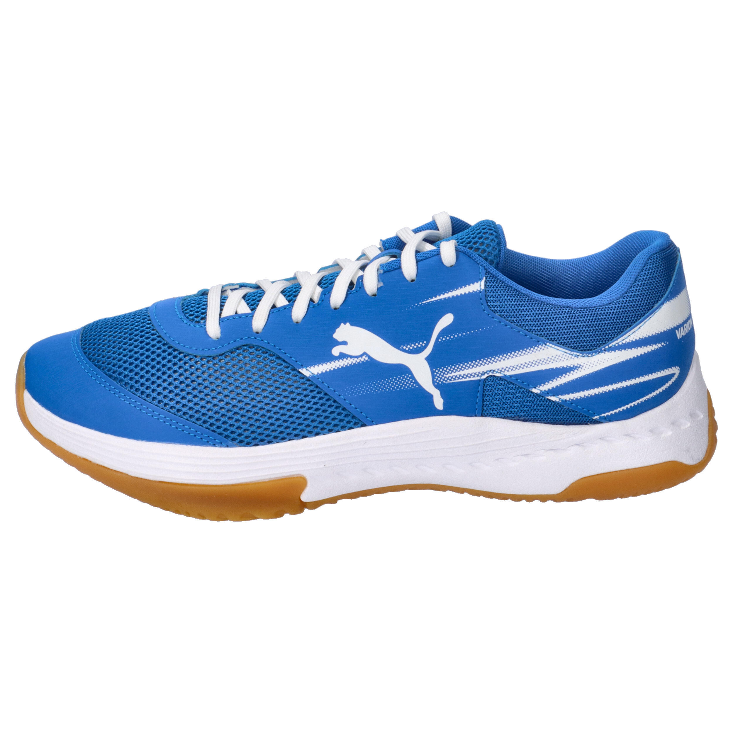 Varion II handbalschoenen PUMA 10/15