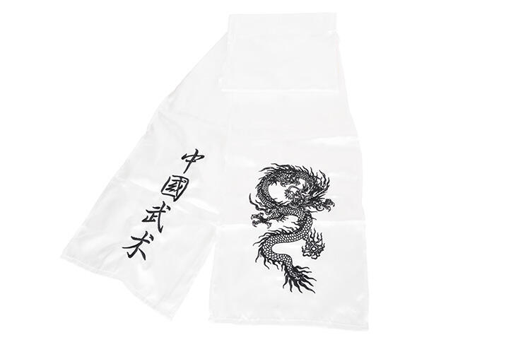 SHENLONG picture