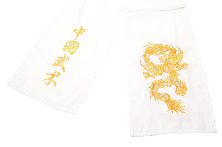 SHENLONG picture