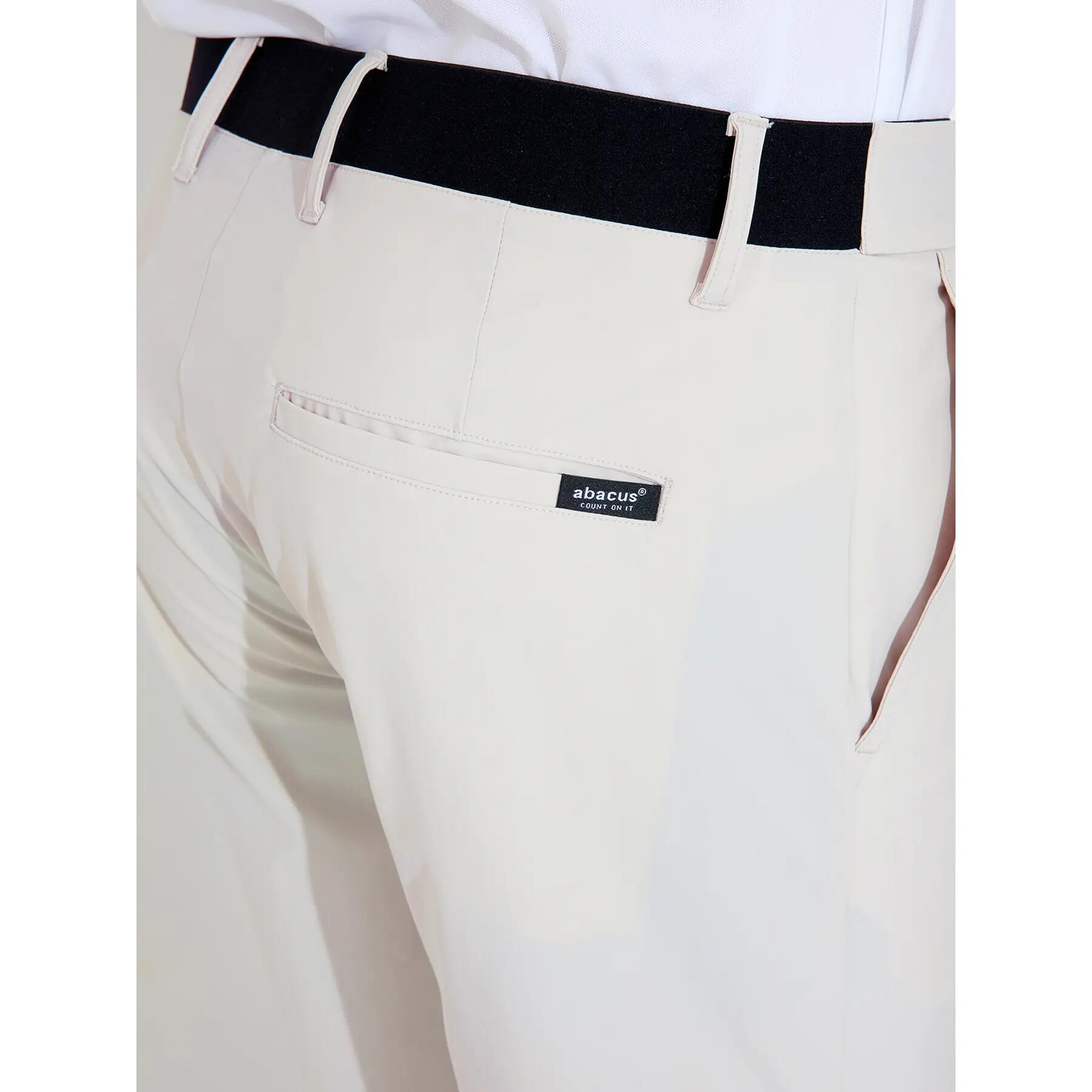 Short Abacus Putter 4/4