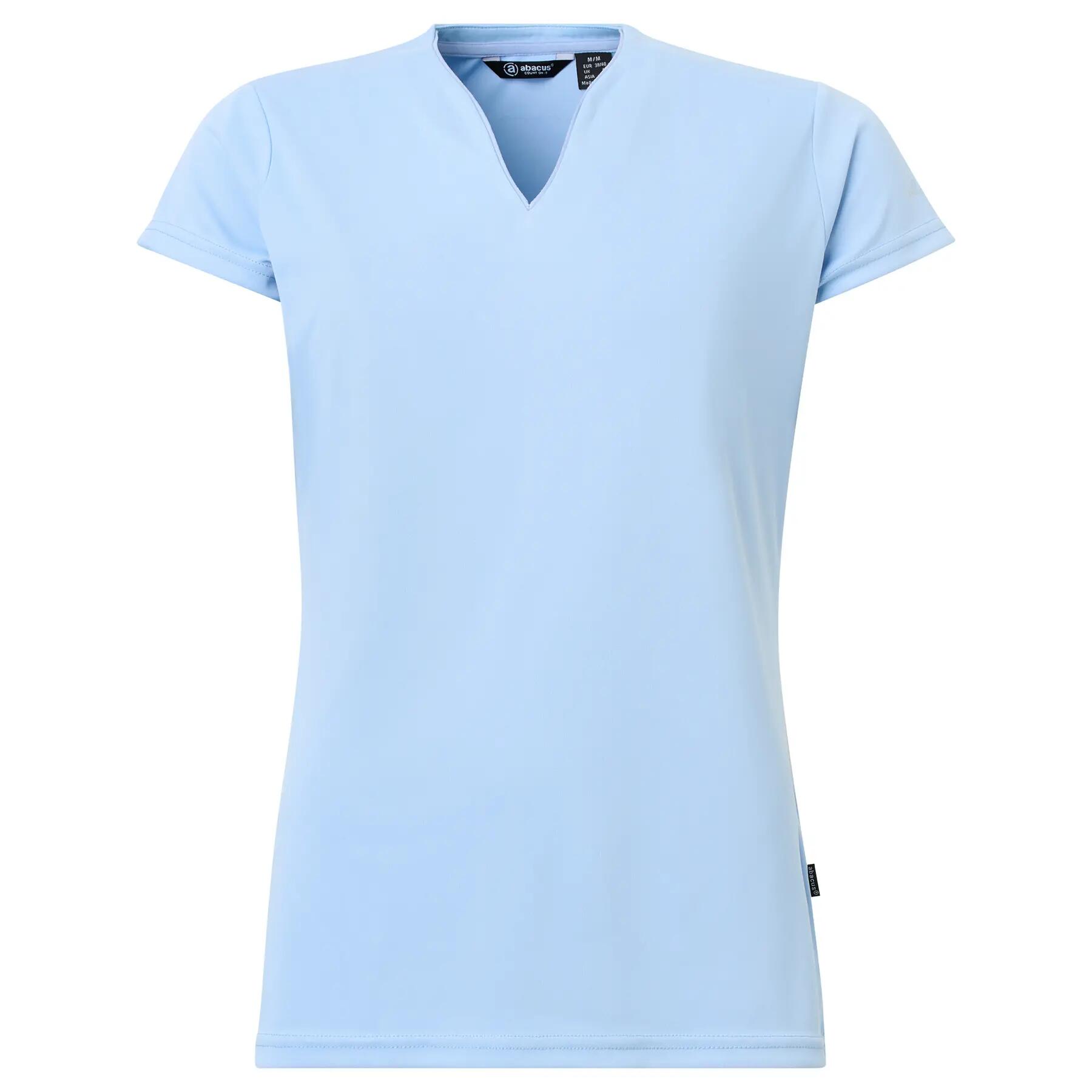 ABACUS picture