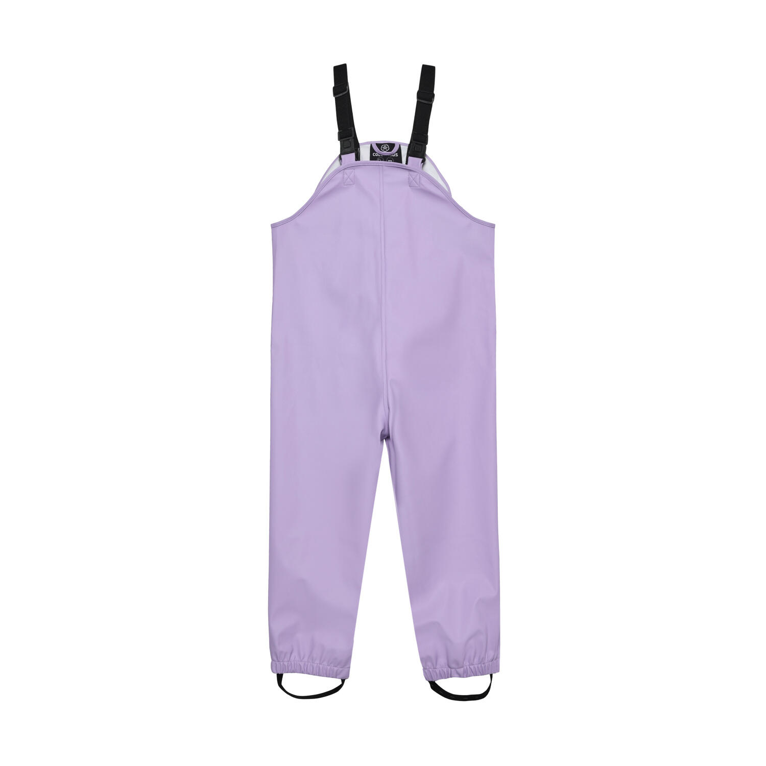 Regenset Purple Rose 3/5