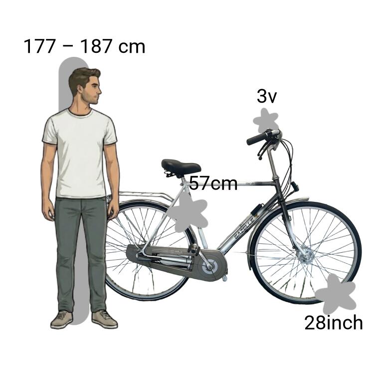 Bicicleta usada Gazelle Tour de France 2/4