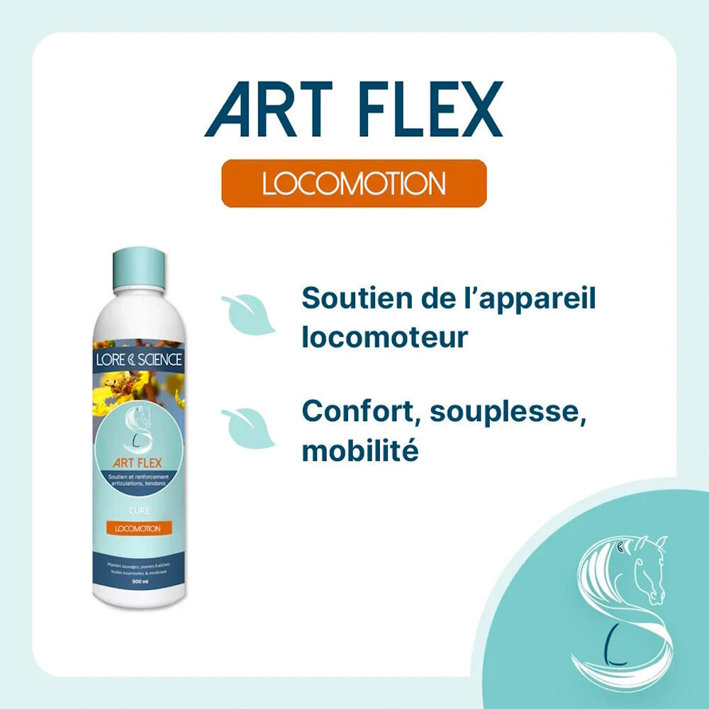 Arthrose cheval Art Flex Lore & Science 500mL 2/4