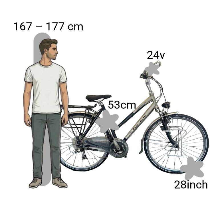 Bicicleta usada Gazelle Sport Style 2/4