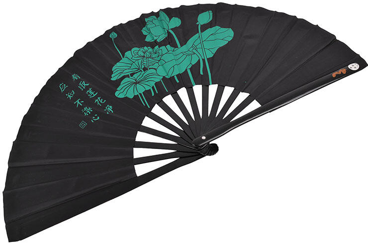 SHENLONG picture