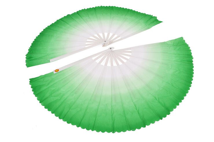 SHENLONG picture