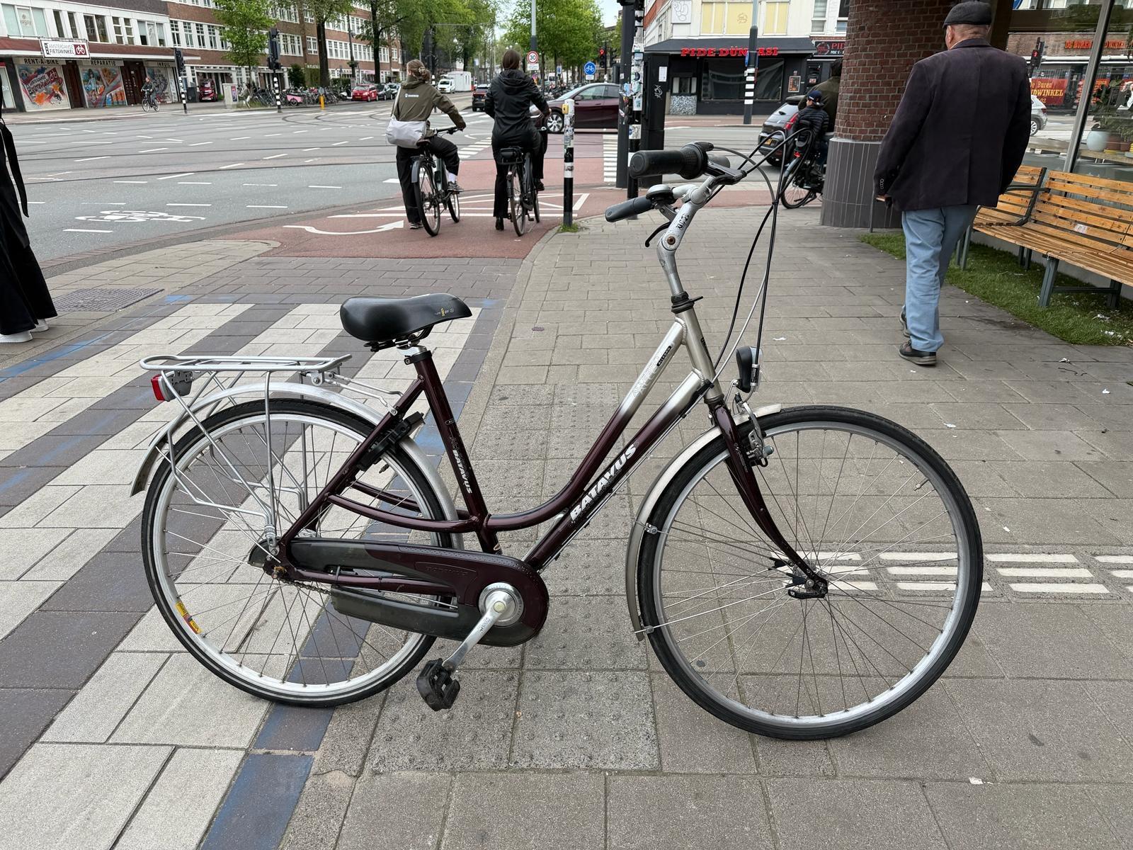 Batavus Allegro, metal/grijs 5/6
