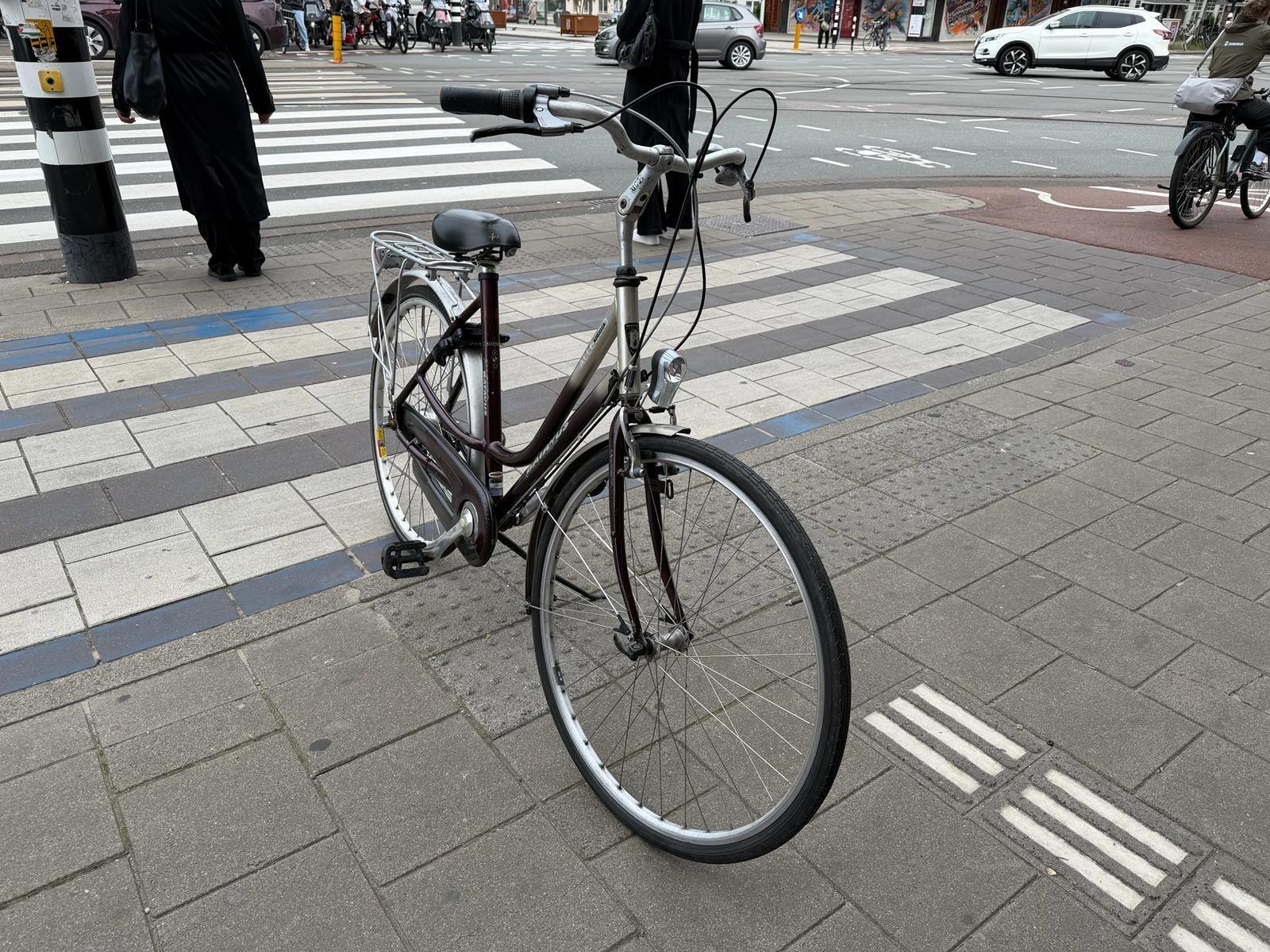 Batavus Allegro, metal/grijs 4/6