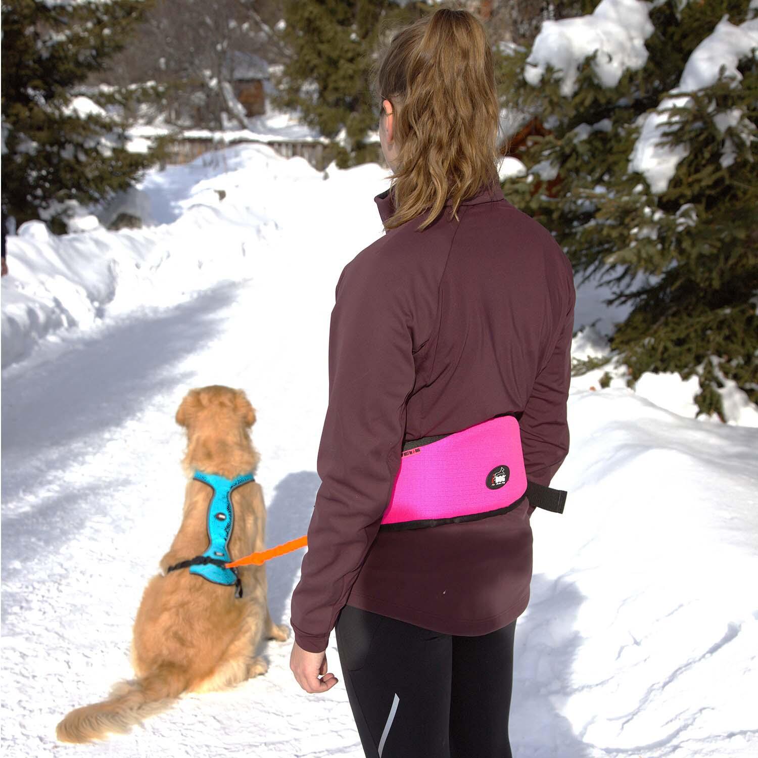 Baudrier ceinture EASY pour chien, sport/loisir Orange 5/6