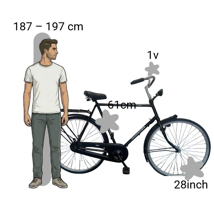 Bicicleta usada Gazelle Impala 2/4