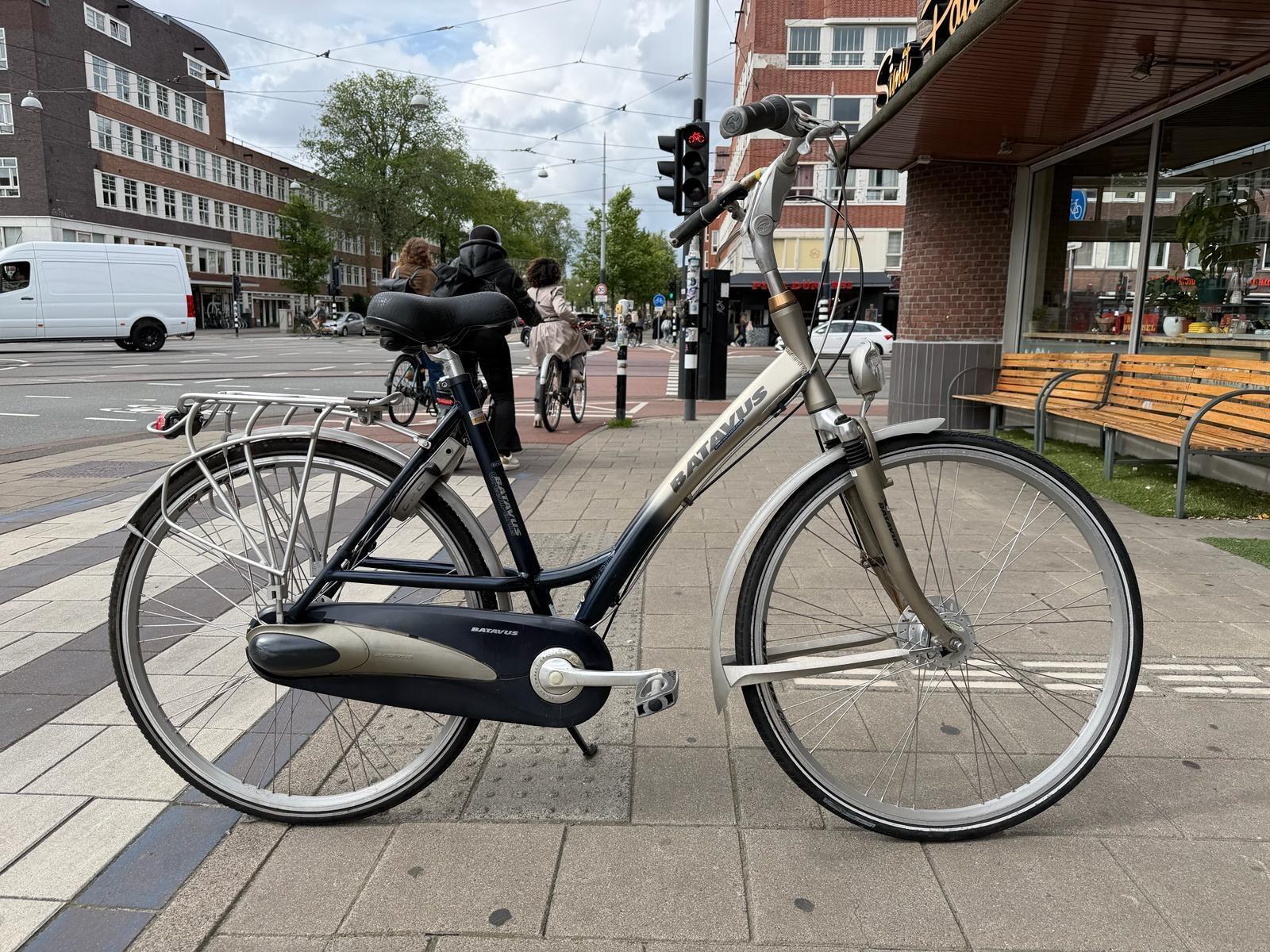 Batavus Green Parks, blauw 2/5
