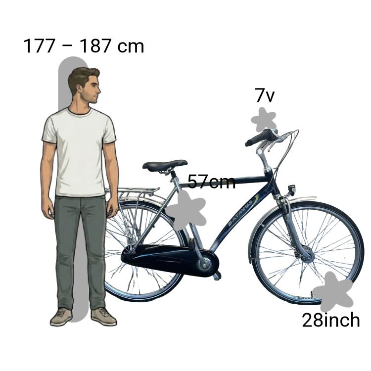 Bicicleta usada Batavus Crescendo 2/4