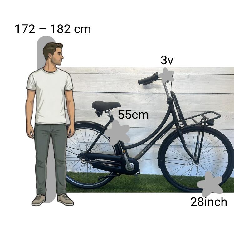 Bicicleta usada Batavus CNCTD 2/4