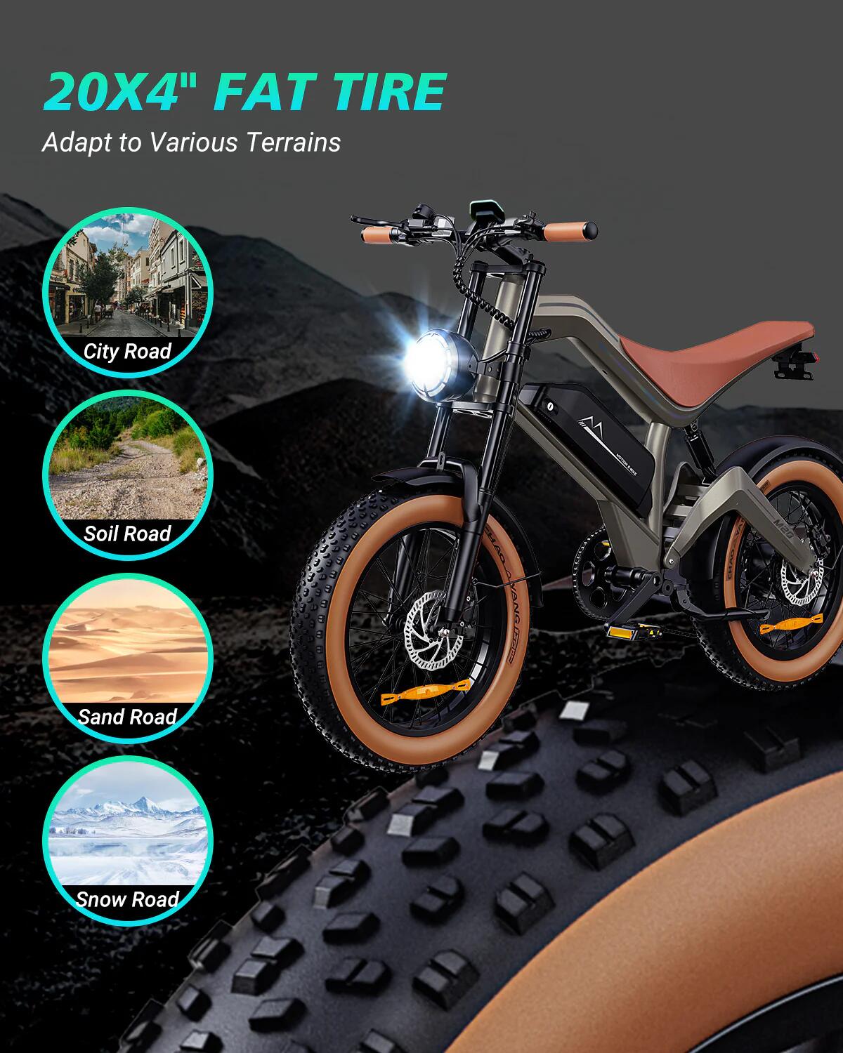 DYU M20 Terrein-E-Bike – 250W groot bereik 3/9
