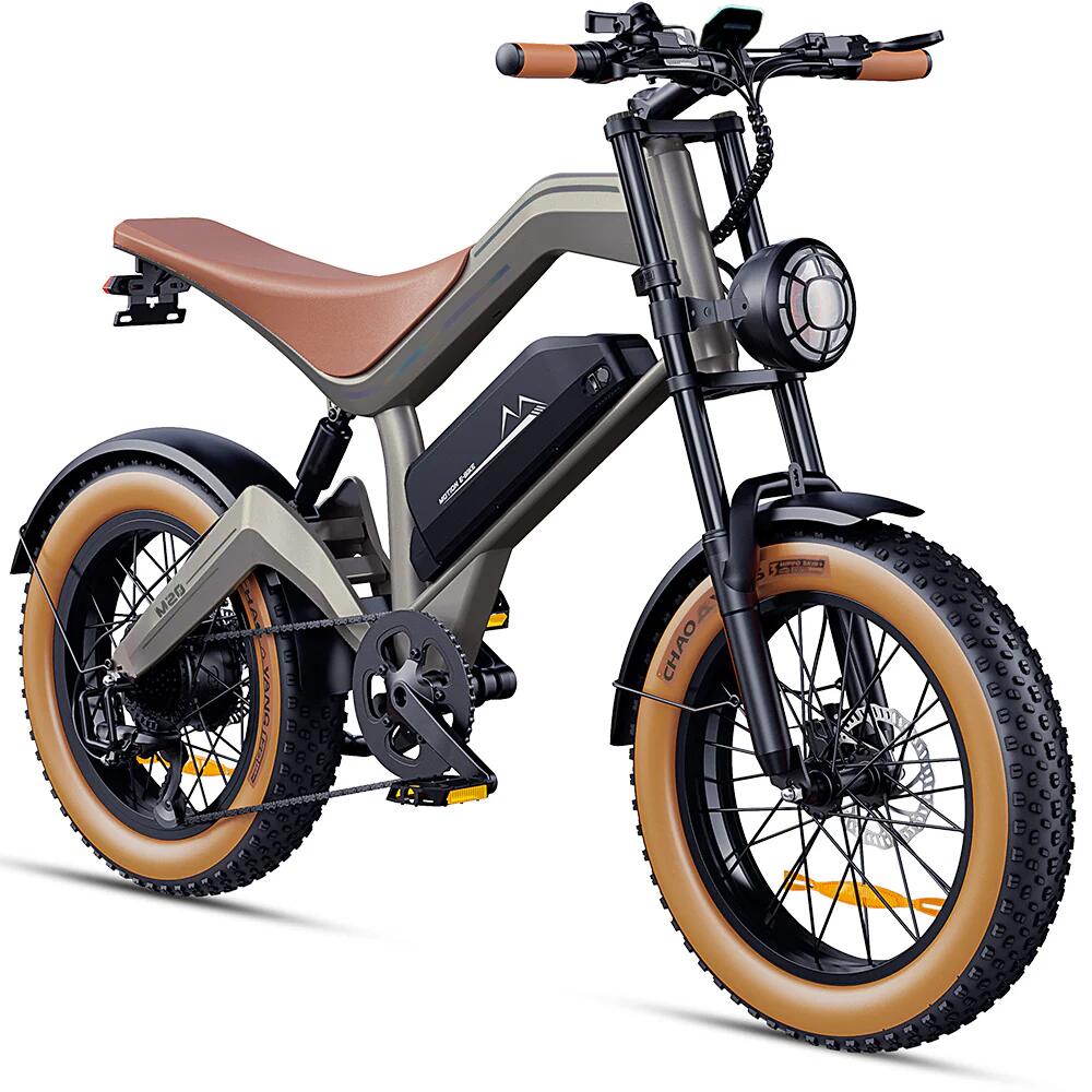 DYU M20 Terrein-E-Bike – 250W groot bereik 8/9