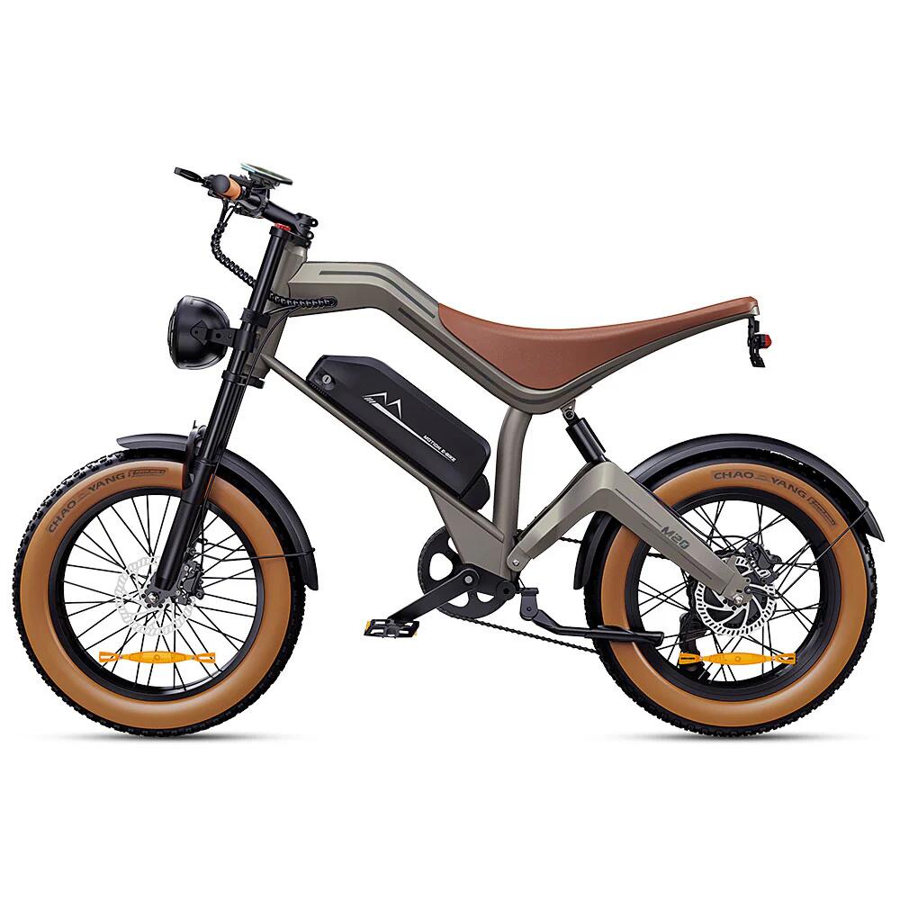 DYU M20 Terrein-E-Bike – 250W groot bereik 7/9