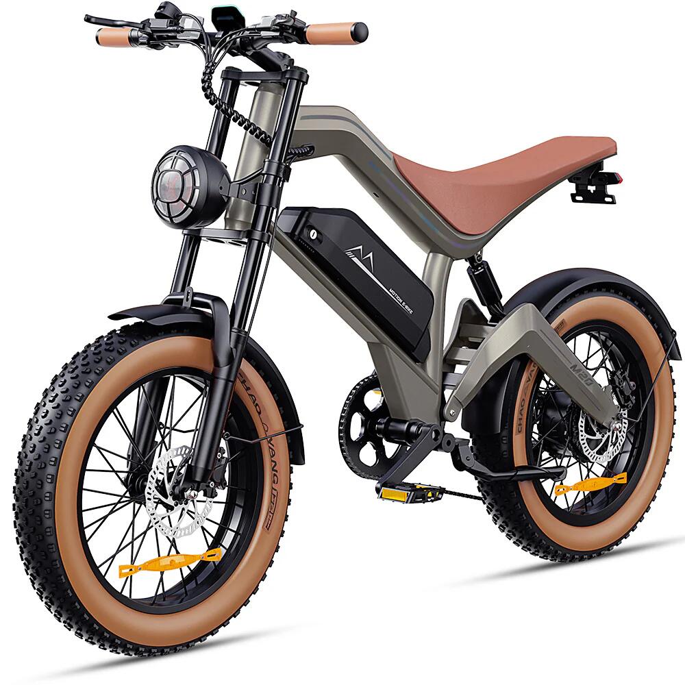 DYU M20 Terrein-E-Bike – 250W groot bereik 9/9