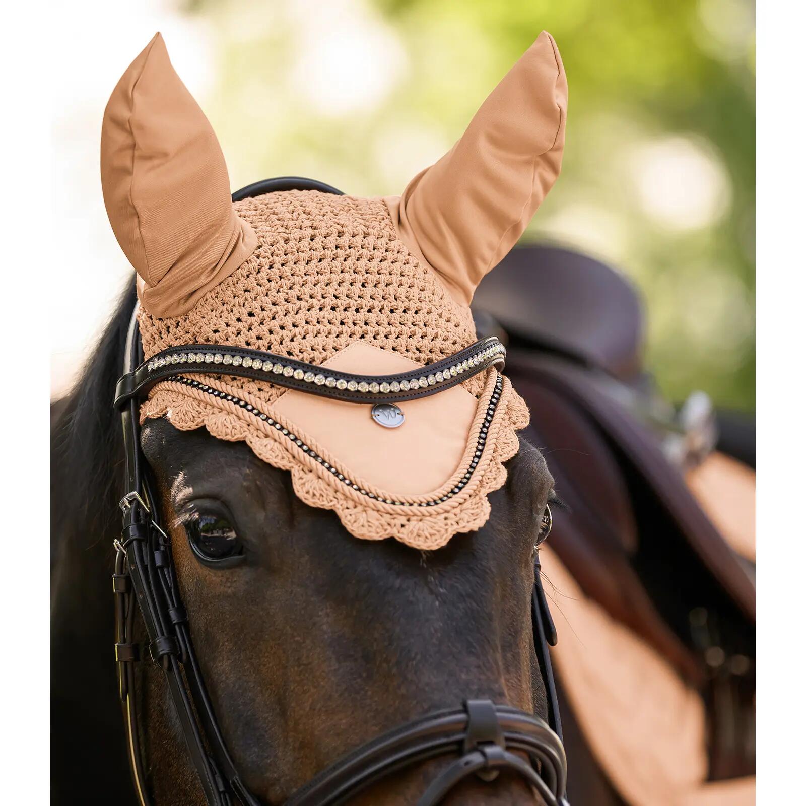Frontale per cavallo Waldhausen Glam 3/4