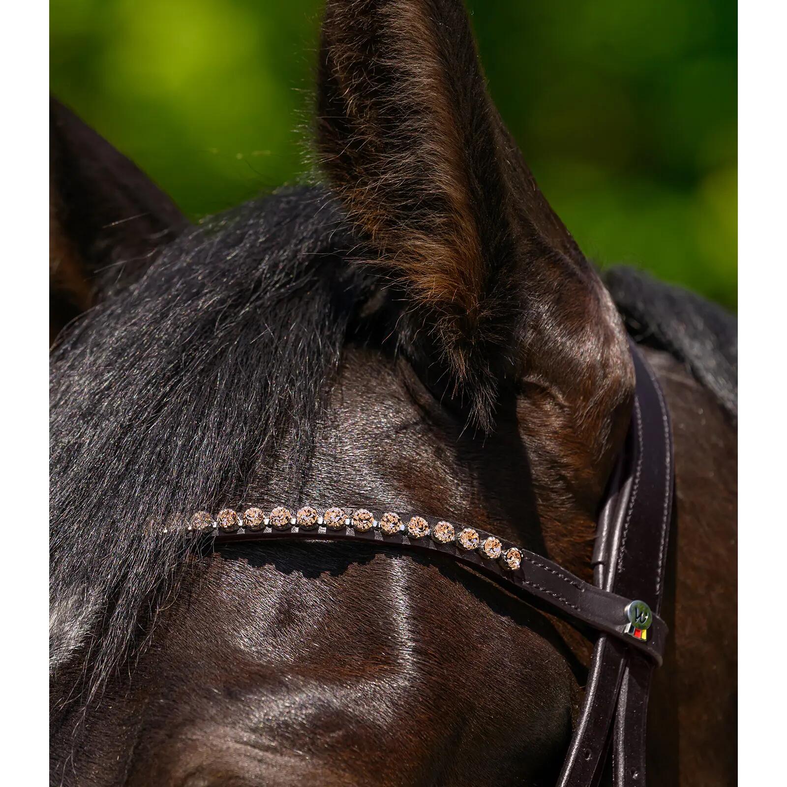 Frontale per cavallo Waldhausen Glam 4/4