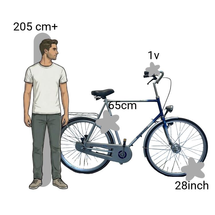 Bicicletta usata Gazelle Tour de France 2/4