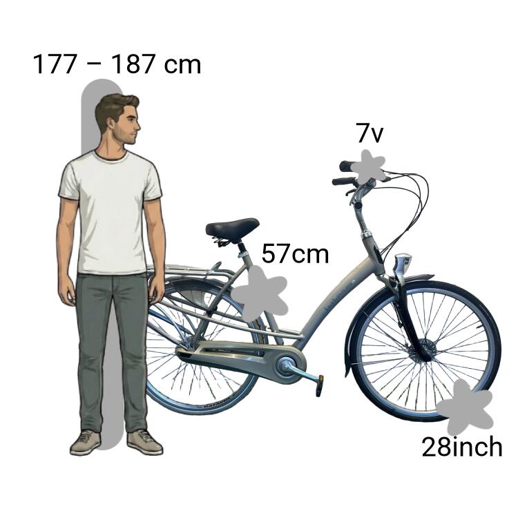 Tweedehands Batavus Mambo 2/4