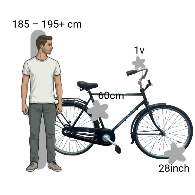 Bicicletta usata Sparta Athena 2/4