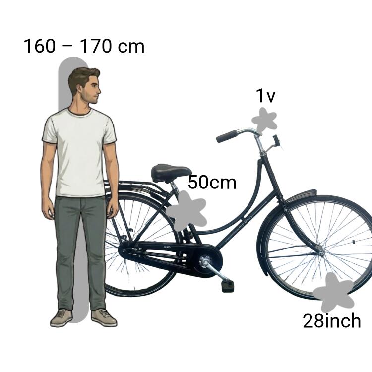 Tweedehands Batavus Old Dutch 2/4