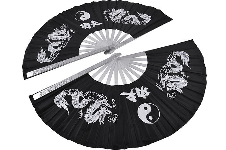 SHENLONG picture