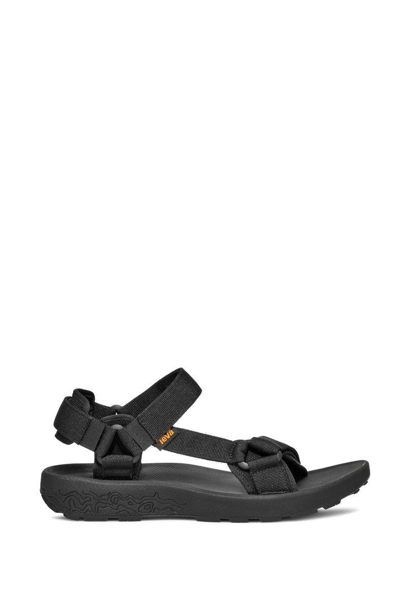 TEVA picture