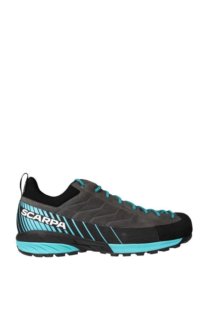 SCARPA picture