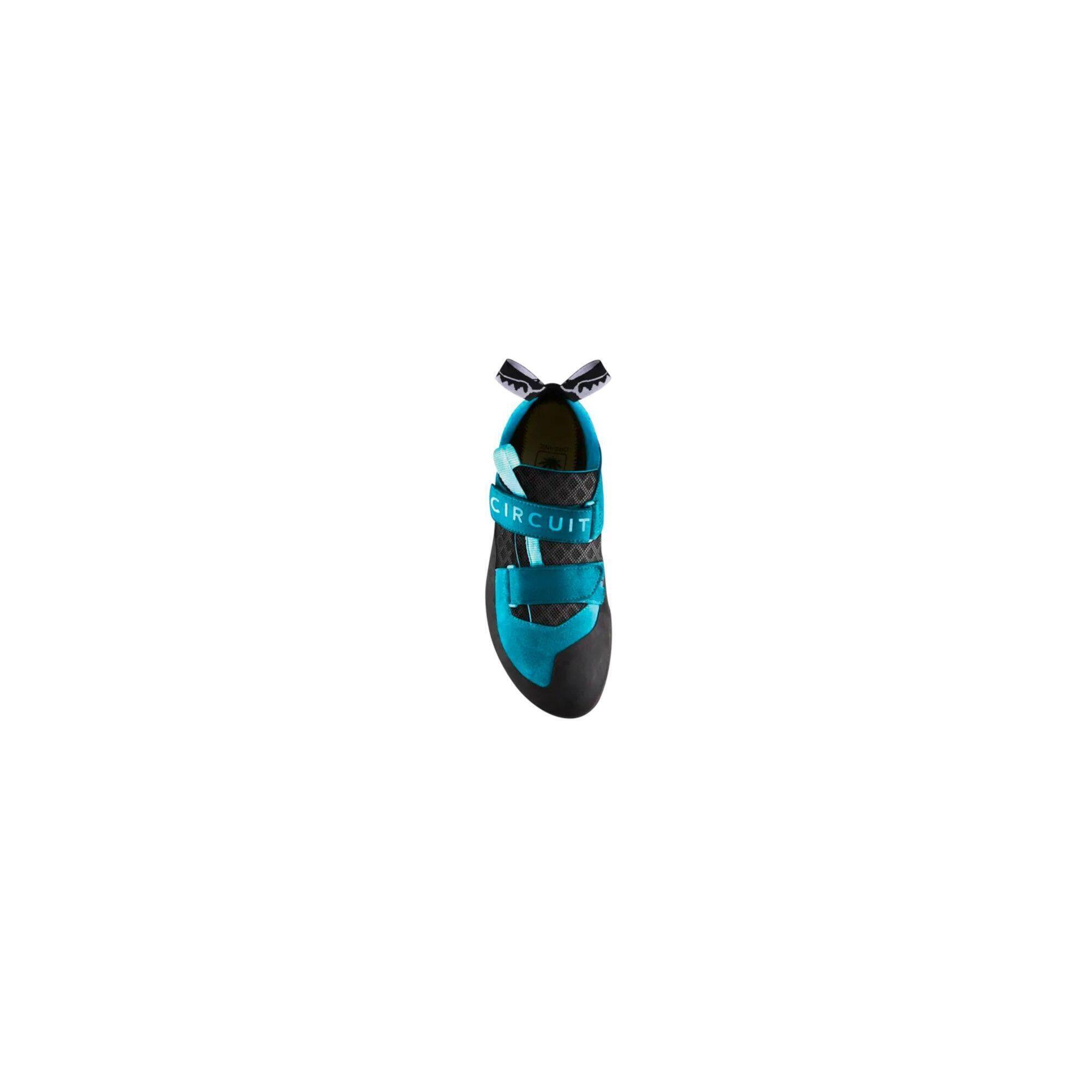 Buty Circuit - Hawaiian Blue