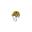 Kask wspinaczkowy Penta - Yellow Gold