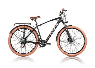 Coppi brooklyn elektrische herenfiets met trapondersteuning, 28