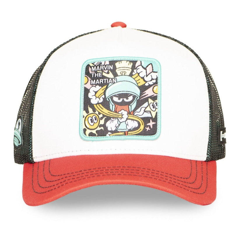 CAPSLAB picture