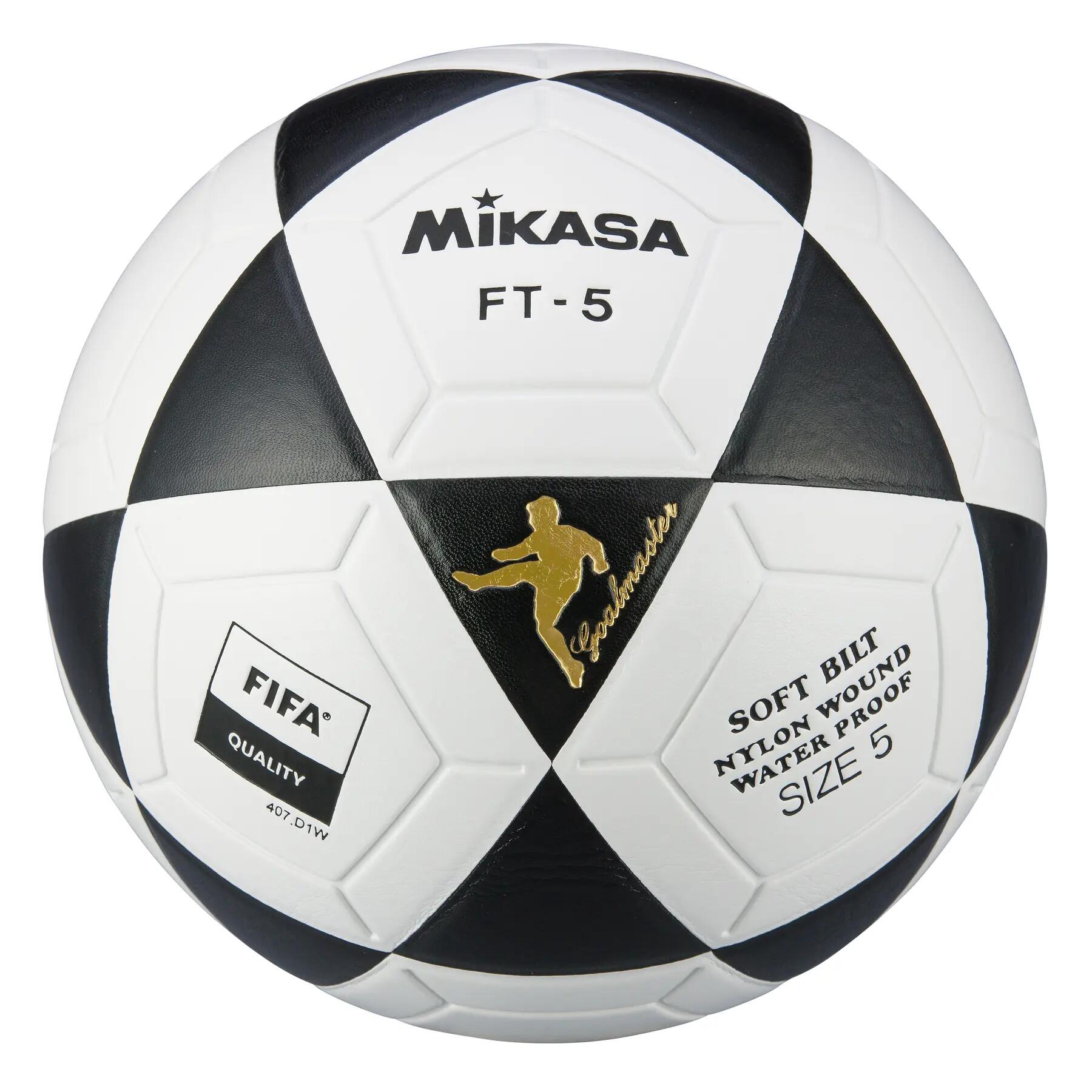MIKASA picture