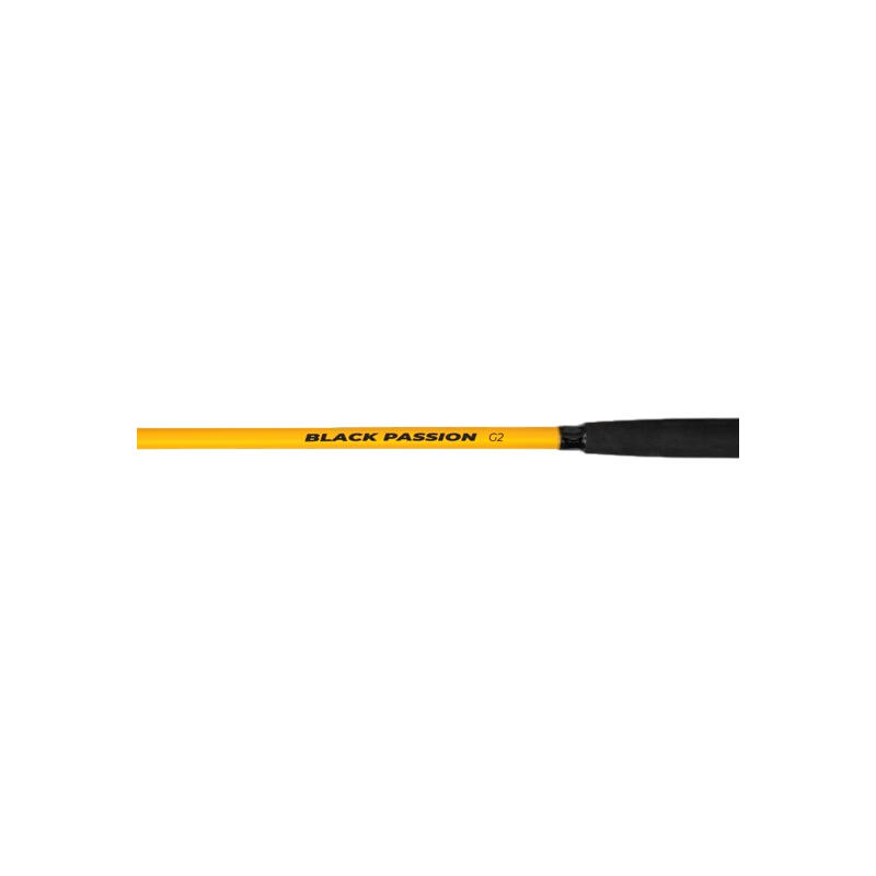 Black Cat Black Passion G2 Bank 300cm 600g - Wallerrute 3/4